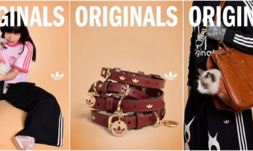 adidas Originals宠物系列7月5日天猫首发，又一国际品牌抢滩“它经济”蓝海