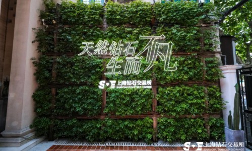 天然钻石市场回暖：稀缺性、保值性与情感价值成投资新焦点
